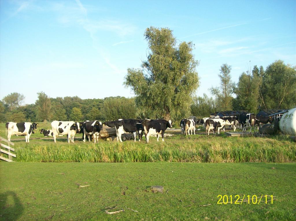 Het Boenhok Logies
